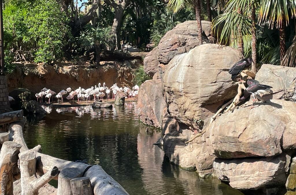 Visita bilingüe a Bioparc – Fuengirola (Málaga). Departamento de Inglés.