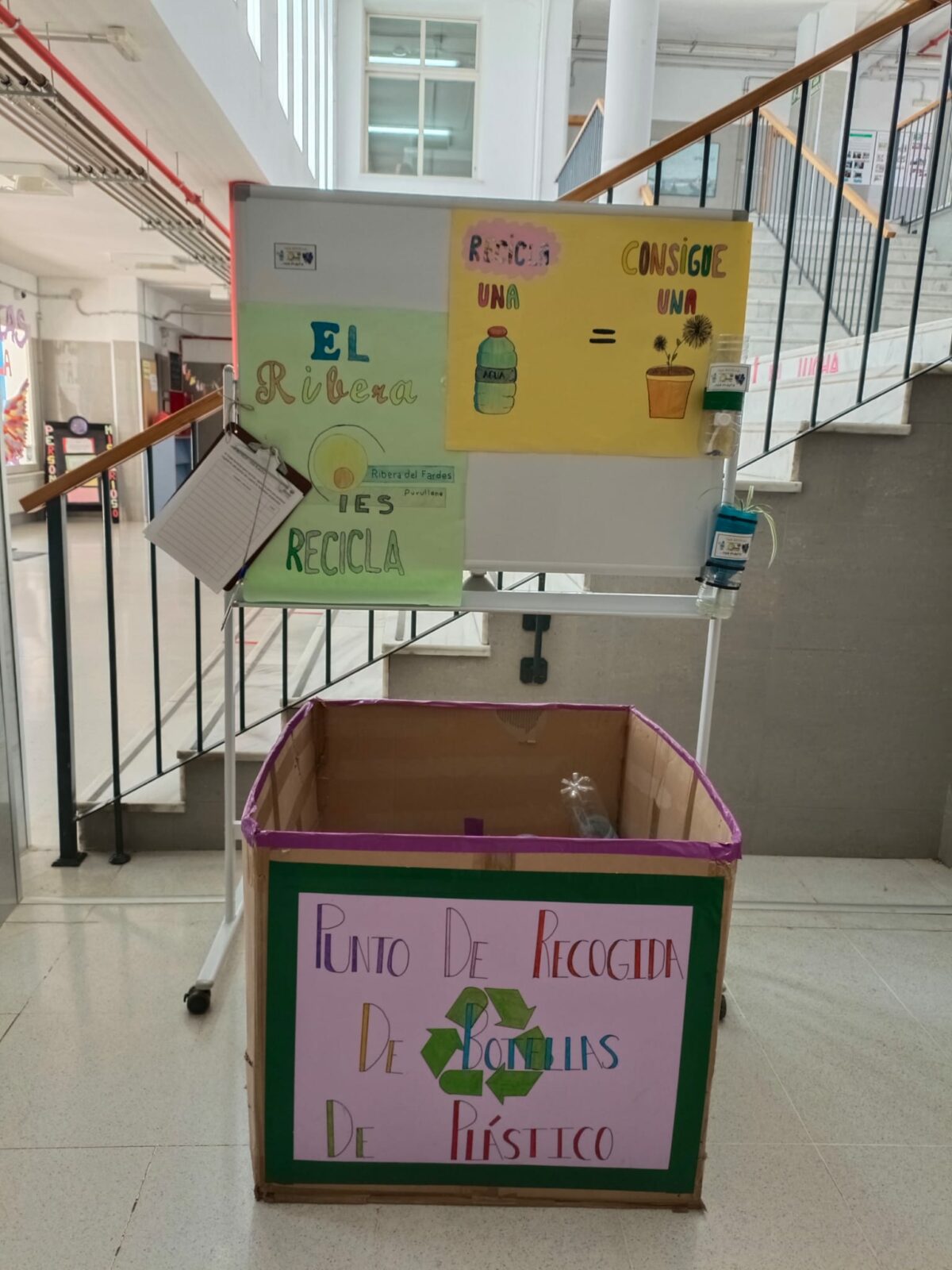 Día Mundial del Reciclaje_17052024