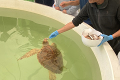 IMG_0075-Francisca-Campos-Camacho