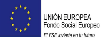 Enseñanzas cofinanciadas por el Fondo Social Europeo