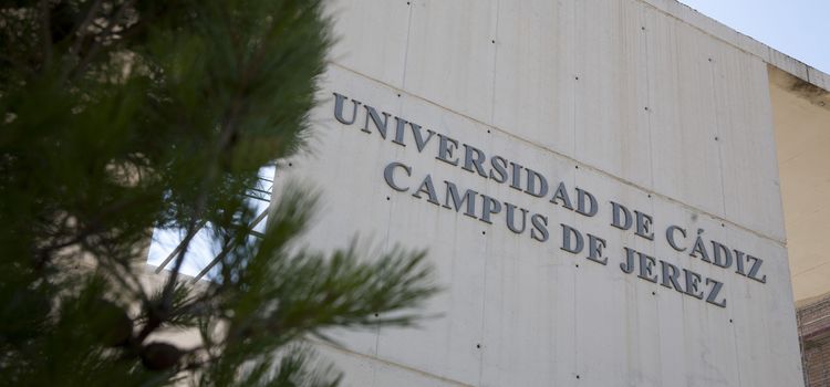 P.A.U. (SELECTIVIDAD) 2025