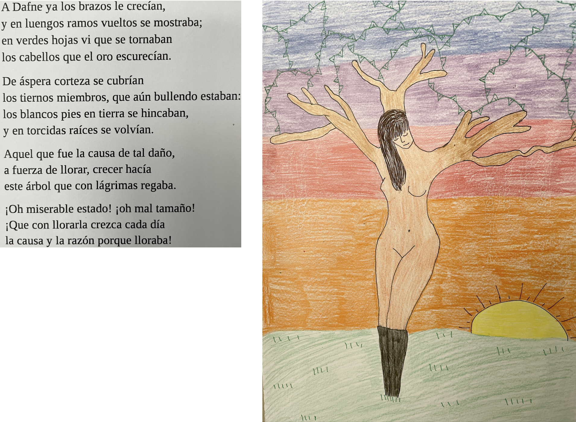 Soneto XIII. Sonetos. Garcilaso de la Vega