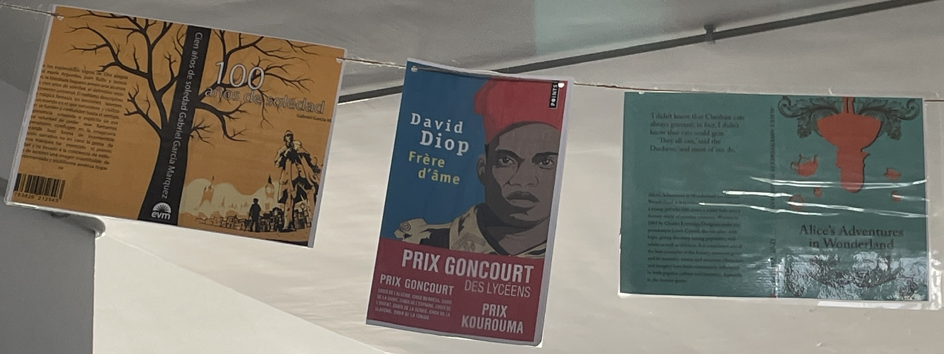 Día del Libro 7