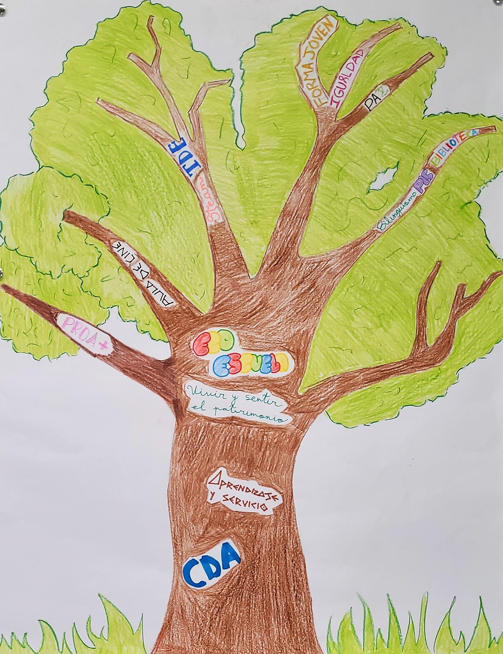 árbol planes y proy