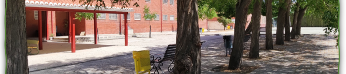 cropped-Patio.png