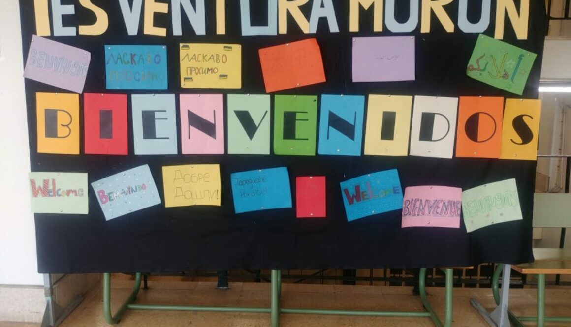 Bienvenida panel