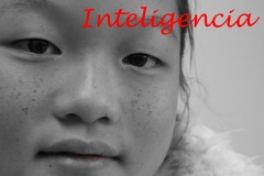 13. Inteligencia