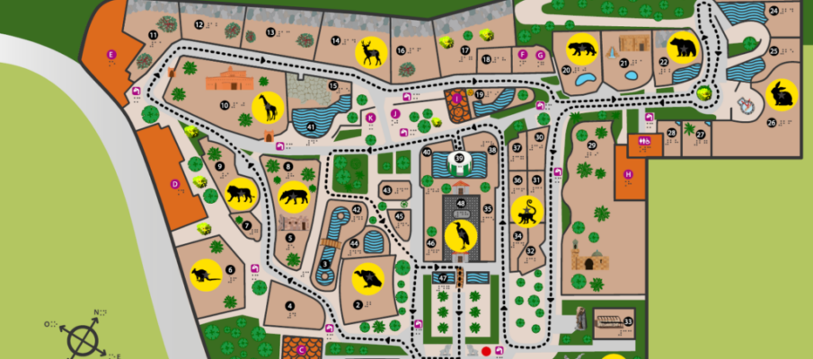03_PLANO_GENERAL_BRAILLE