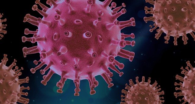 Los virus y las enfermedades infecciosas
