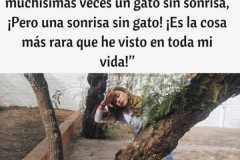 1_WhatsApp-Image-2023-02-17-at-21.13.21-1
