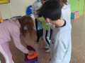 IMG-20220308-WA0035