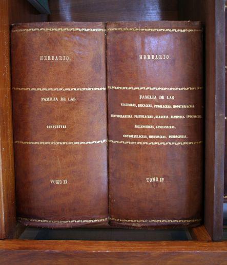Herbario (1875) Herbario (1875)
