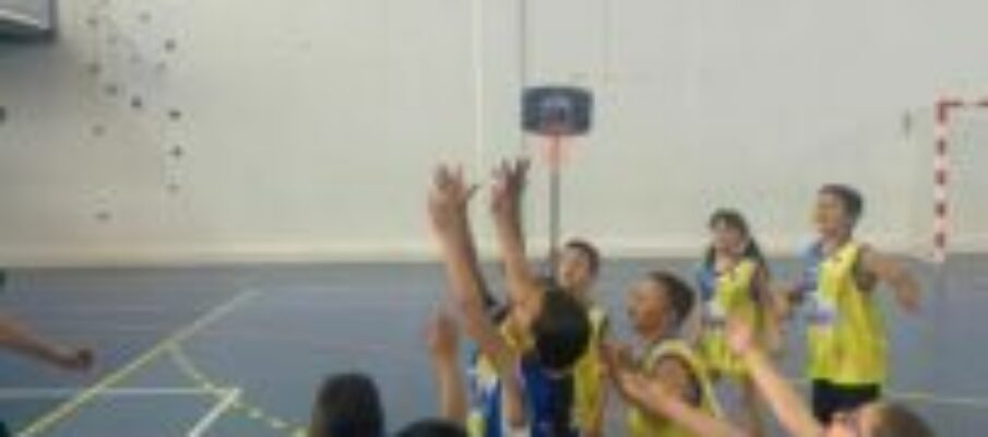 basket basket