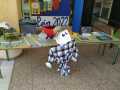 WhatsApp-Image-2023-06-09-at-11.05.03