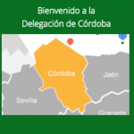 D.T. Córdoba