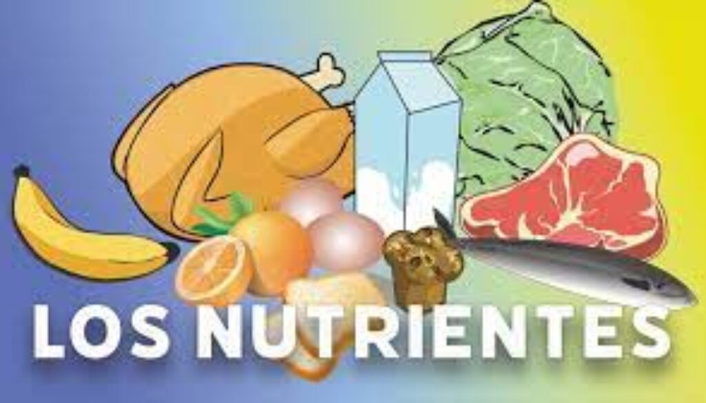 índice