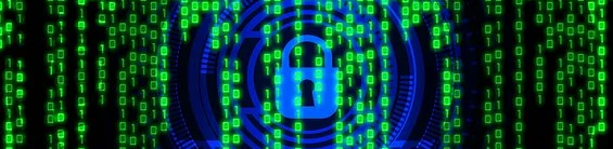 Vega TIC – Seguridad e Internet