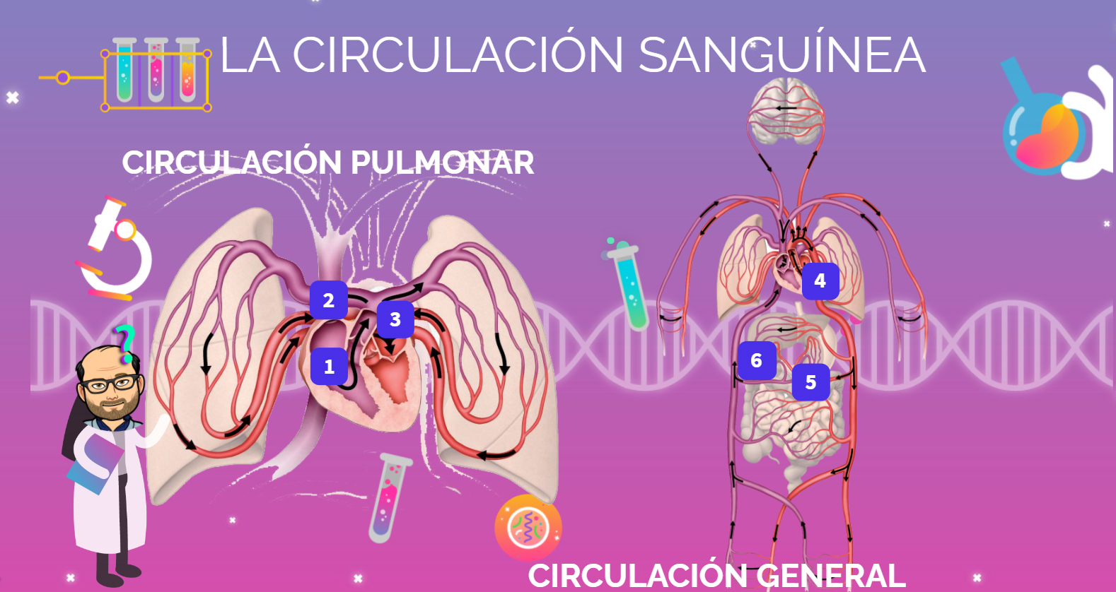 3 La Función De La Nutrición Verain Que Clase 8352