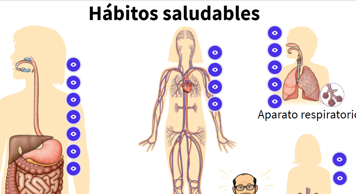 3 La Función De La Nutrición Verain Que Clase 3458