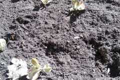 WhatsApp-Image-2022-11-14-at-15.10.32-2