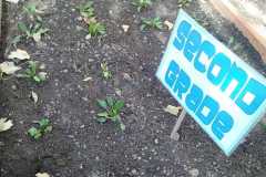 WhatsApp-Image-2022-11-14-at-15.10.39