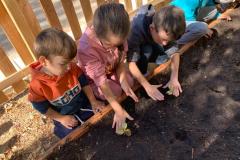 WhatsApp-Image-2022-11-14-at-15.51.223