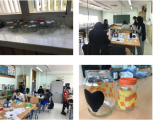 Nuestro instituto participa en el proyecto nacional “Generación Eco”